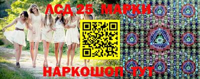 крисы Анапа