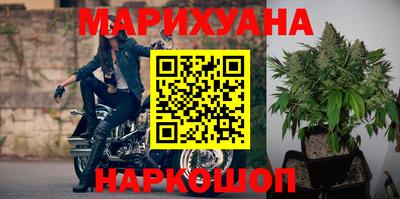гидра Ачхой-Мартан