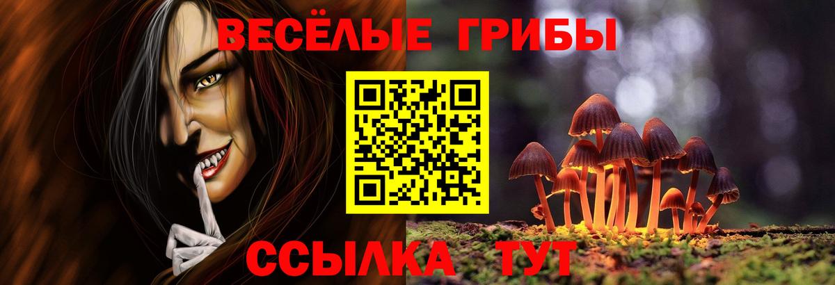 Псилоцибиновые грибы прущие грибы  Вход с VPN  Красноармейск 